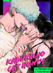 Kabukicho Cat Honey